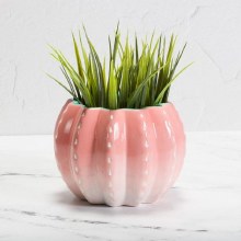 Additional picture of MB1504 - Barrel Cactus Planter     5.25"L x 5.25"W x 3.75"H