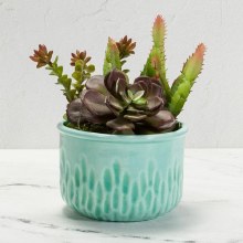 Additional picture of MB1557 - Textured Planters (assort. of 3 designs)     5.25"L x 5.25"W x 3.5"H