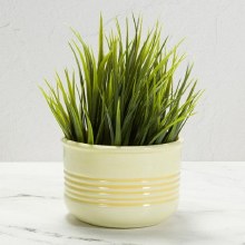 Additional picture of MB1557 - Textured Planters (assort. of 3 designs)     5.25"L x 5.25"W x 3.5"H