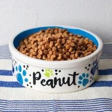 Additional picture of SB146 - Stoneware Pet Dish 7"      7.5"L x 7.5"W x 2.5"H