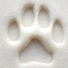 Additional picture of SCS001 - Sm. Round Stamp: Dog Paw, 1.5cm