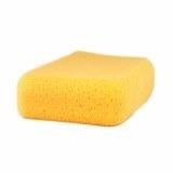 Hydra Sponge- Synthetic, Large Rectangle