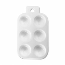 Additional picture of 6 Well Plastic Palette