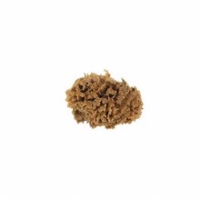 Sea Wool Sponge 3"