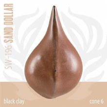 Additional picture of SW-196 Sand Dollar  Pint Cone 5-10