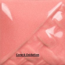 SW-511 Pink Gloss Pint Cone 5-10