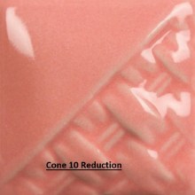 Additional picture of SW511 - Pink Gloss Cone 5-10