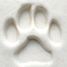 Additional picture of SCM001 - Med. Round Stamp: Dog Paw, 2.5cm