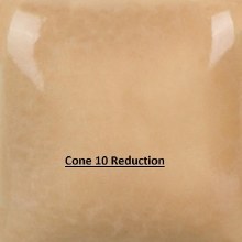 Additional picture of FN-060  Mushroom  Cone 06-10, Pint
