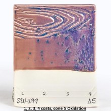Additional picture of SW-199 Purple Aster  Pint Cone 5-10