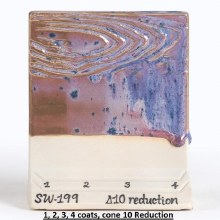 Additional picture of SW-199 Purple Aster  Pint Cone 5-10