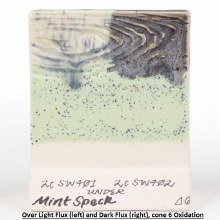 Additional picture of SW221 - Mint Speck Cone 5-10