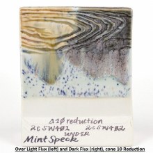 Additional picture of SW221 - Mint Speck Cone 5-10