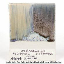 Additional picture of SW221 - Mint Speck Cone 5-10