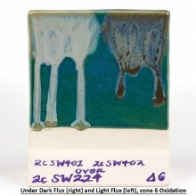 Additional picture of SW224 - Tropical Teal Cone 5-10