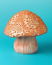 Additional picture of SW442 - Orange Bead Glaze Cone 5-10