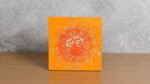 Additional picture of UG204 - Orange Underglaze, Cone 06-10, 4oz
