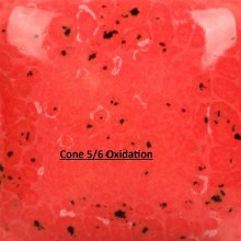 Additional picture of SP289 - Speckled Cutie Pie Coral  Cone 06-10, 2oz