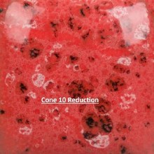 Additional picture of SP289 - Speckled Cutie Pie Coral  Cone 06-10, Pint