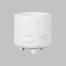 Additional picture of MCB1591 - Monstera Footed Container      5"L x 5"W x 3"H