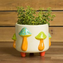 Additional picture of MCB1592 - Mushroom Footed Container     5.75"L x 5.75"W x 5"H