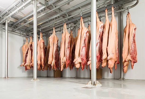 BUTCHERED PIG