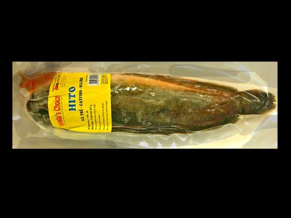 CATFISH HEADLESS HITO