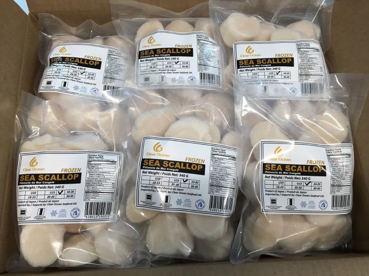 CLEAR OCEAN COOKED SCALLOP 3LB