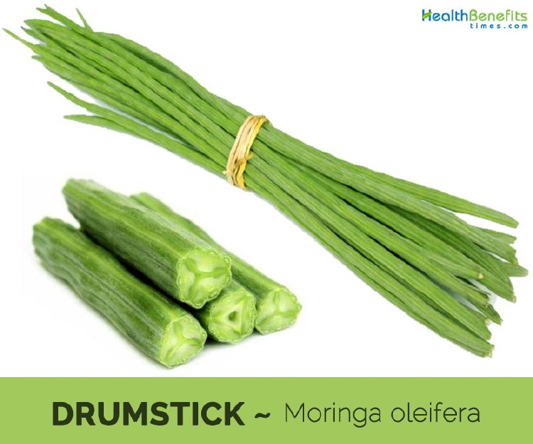 DRUMSTICK