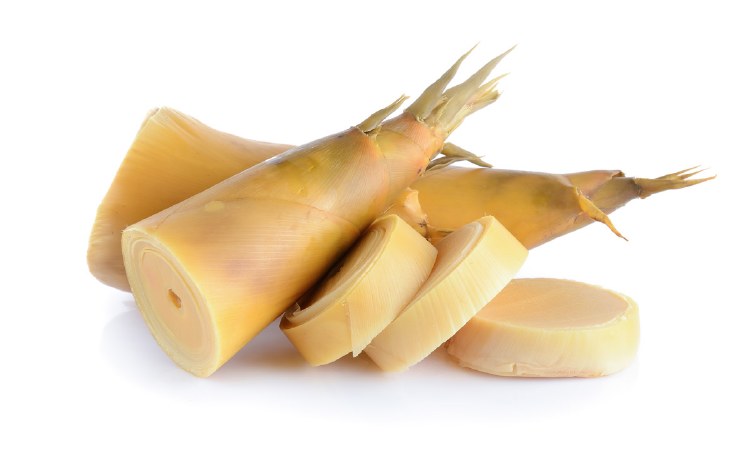 FRESH BAMBOO SHOOT