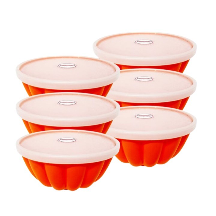GELATIN MOLDER 10PCS