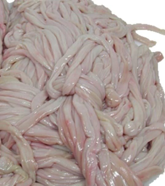 GOAT INTESTINE