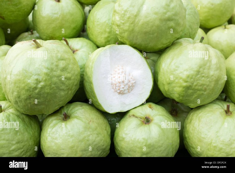 GREEN GUAVA
