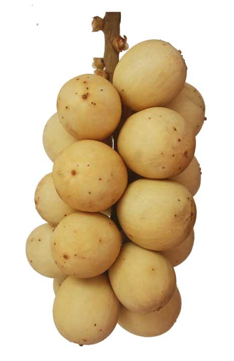 LANSONES 1 KILO