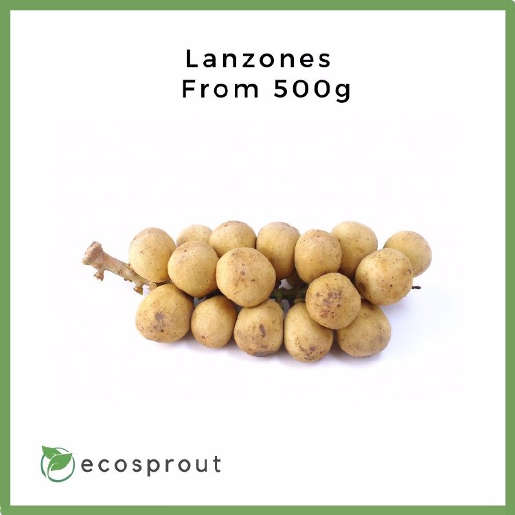 LANSONES 500G