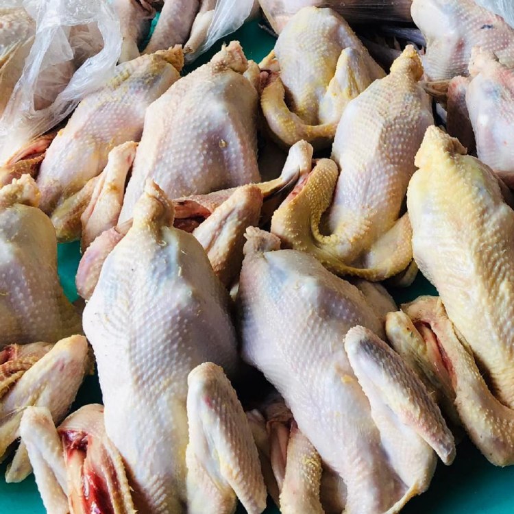 NATIVE CHICKEN SMALL