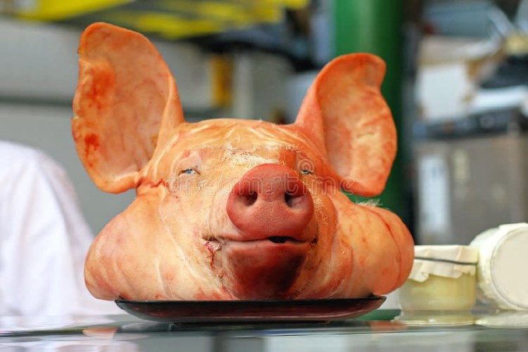 ROASTED PIG HEAD BIG
