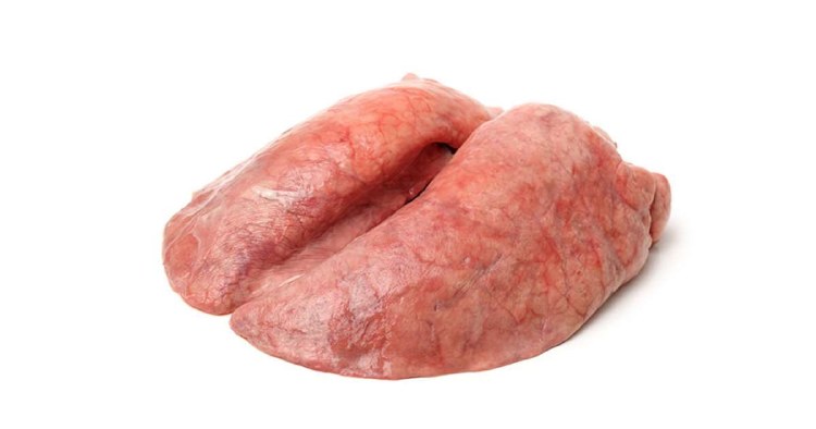 PORK LUNGS
