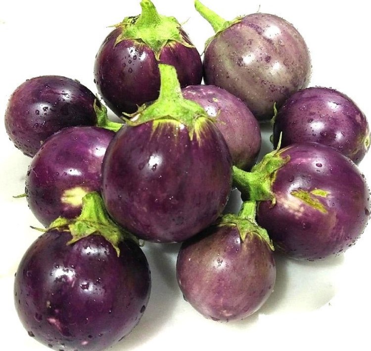 ROUND EGGPLANT VIOLET