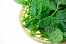 Malbar(Alugbati) Spinach