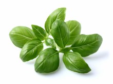 Basil Leaves 3LB