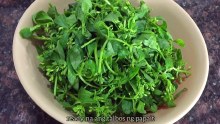 Bitter Leaves(Papait)