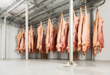 BUTCHERED PIG
