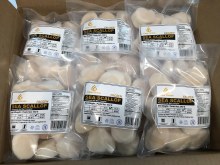 CLEAR OCEAN COOKED SCALLOP 3LB