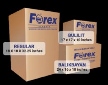 FOREX BIG (REGULAR)