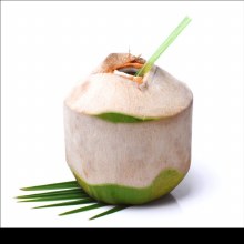 FRESH COCONUT
