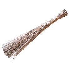 WALIS TINGTING