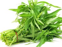 KANG KONG