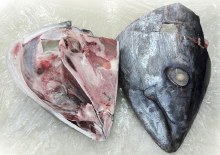 TUNA HEAD SLICED