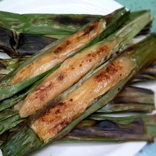 TUPIG